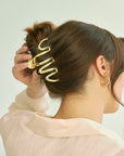 Carnival Claw Clip