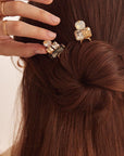 Verona Chignon