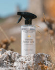 French Multi-Surface Spray Cleaner
